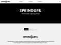 springuru.com Coupon Codes
