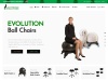 Evolutionchair.com Coupon Codes