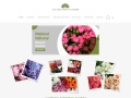 Auctiondirectflowers.co.uk Coupons