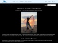 Dancingwings.com Coupons