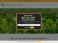Hedgingplantsdirect.co.uk Coupons