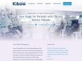 Kibow.com Coupons