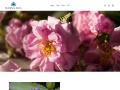 Multiflora-herbs.com Coupons