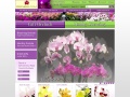 Orchids.com Coupons