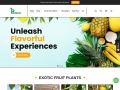Plantsouk.com Coupons