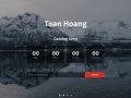 Toanhoang.com Coupons